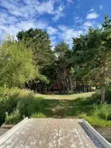 Ясная поляна - 2