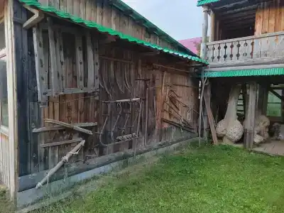 Живица - 43