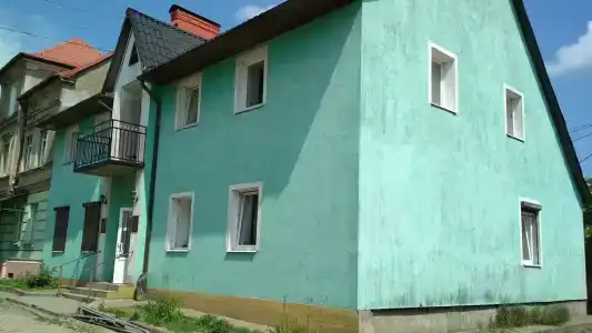 Рица - 1