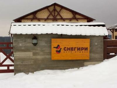 Снегири - 23