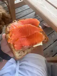 Лунный свет - 87