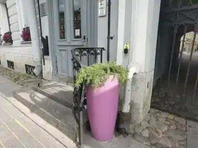 Пушка ИНН - 79