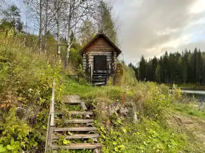 Родники - 12