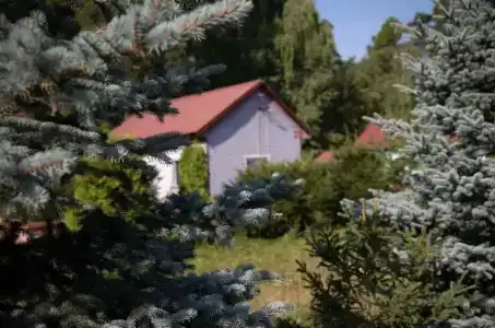 Лебяжье - 28
