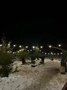 Дом Аиста - 60