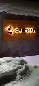 Снегири - 30