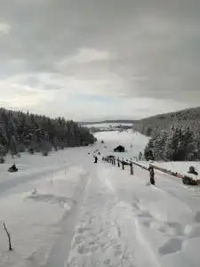 Метальниково Горка - 35