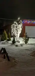 Аист - 10