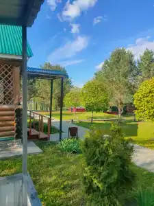 Сосновка - 43