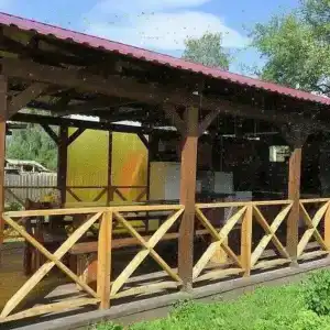 Кедровка - 3