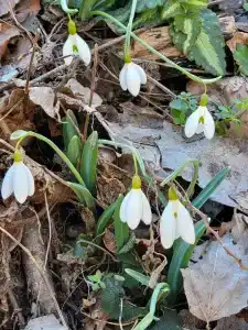 Орлиный Залёт - 95