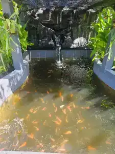 Bali Nusa Dua - 14
