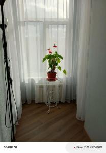 Октавиана - 76