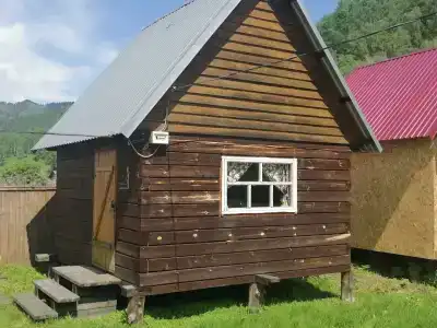 Золотая пчела - 26