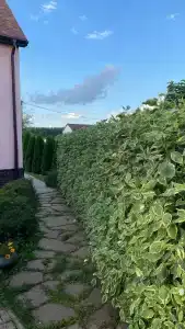 Дивеево-Лайф - 9