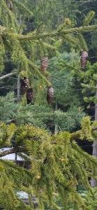 Гранд Усадьба - 69