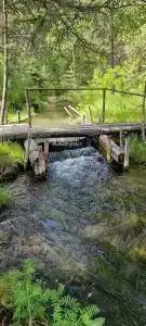 Мёны - 15