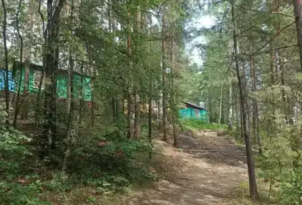 Лесная сказка - 24