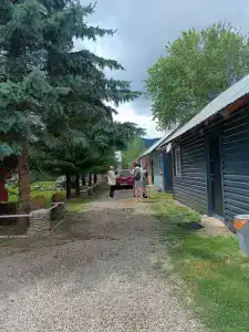Снежный Барс - 66