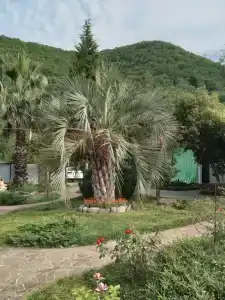 Райское местечко - 7