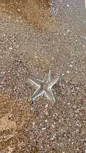 Alexia Resort & Spa - All Inclusive - 42