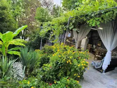 Гостевой дом у Кедра - 2