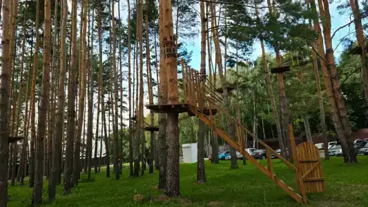 Дубки - 12
