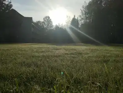 Фантазия - 17