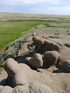Соленый берег - 5