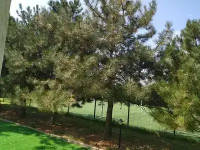 Капля моря - 63