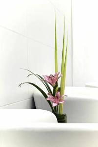 President - Ihcl Seleqtions - 29