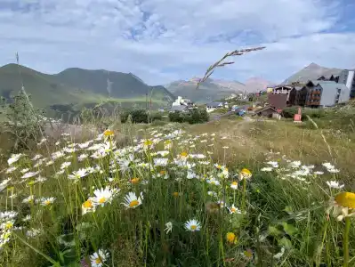 Khizina Rezo | REZO HUT - 4