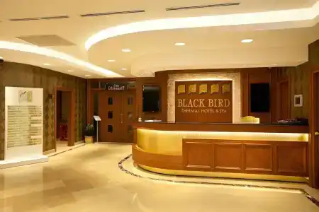 Black Bird Thermal & Spa - 13