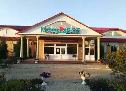 Моховое - 0