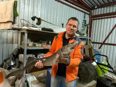 ВК - 67