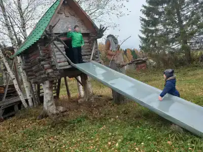 Живица - 6