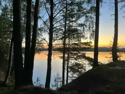 Лесная пристань - 0