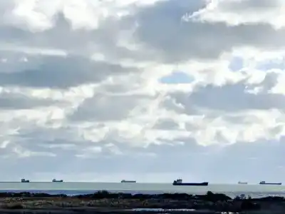 Морелофт - 13