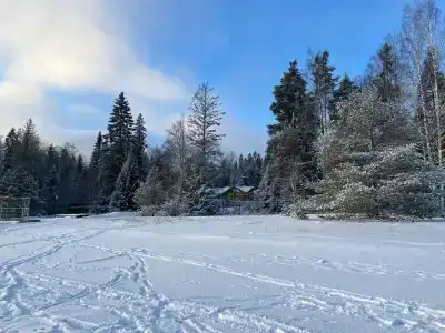 Чайка - 11