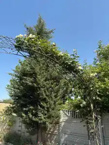 Прекрасная гавань - 34