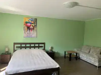 Коди Ярви - 64