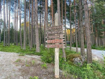 Снегурочка - 29