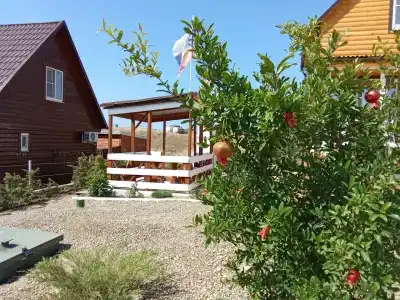 Коттедж, море, дельфины - 5