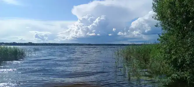 Тихий уголок - 24