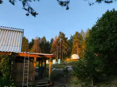 Milka - 31
