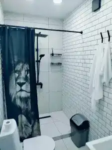 Арктик серф - 64