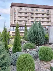 Медикал Спа Резорт Альфа Радон - 28