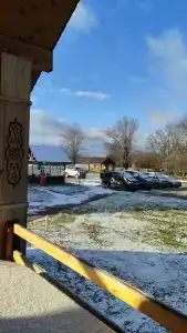 Живые Родники - 99