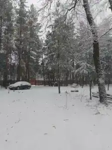 ПриродаРОДА - 65