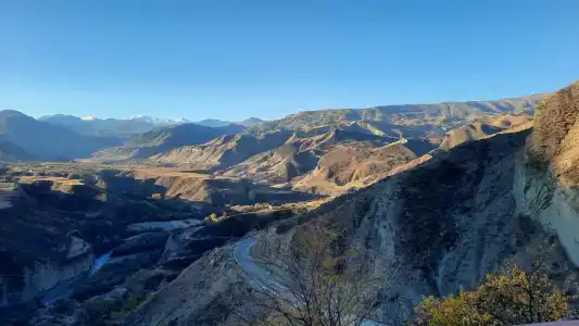 Пение птиц - 92